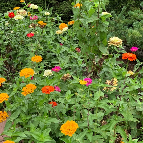 Meet your Posher, Lynne - Picture 5 of 7